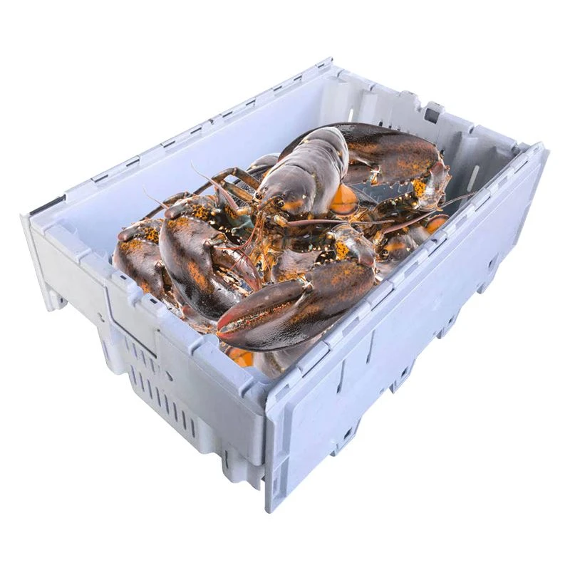 Wholesale Plastic Lobster Crates